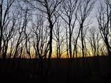 4007 Anderson Pike - Photo 4