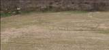 0 Dutch Creek Rd - Photo 2