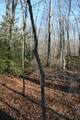 0 18th Avenue - Photo 3