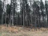 215 Honeybee Court - Photo 9