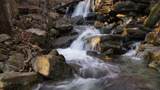 0 Crockett Loop - Photo 11
