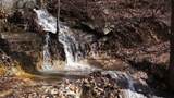 0 Crockett Loop - Photo 14