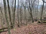 0 Talley Top Trl - Photo 4