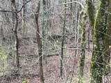 0 Talley Top Trl - Photo 7