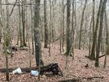 0 Talley Top Trl - Photo 8