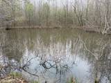 6530 Short Mountain Rd - Photo 14