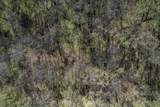 0 Dowell Branch Rd - Photo 11