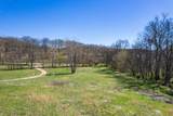 0 Dowell Branch Rd - Photo 8