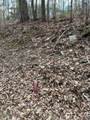 0 Chestnut Mountain Road - Photo 3