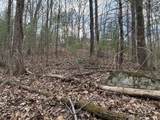 0 Chestnut Mountain Road - Photo 4
