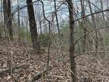 0 Chestnut Mountain Road - Photo 5