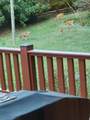 1515 Crestway Drive - Photo 4