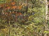 0 River Road - Photo 22
