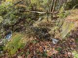 0 River Road - Photo 26