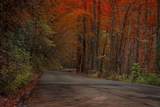 0 River Road - Photo 37