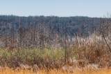 253 Daus Mountain Rd - Photo 12