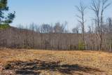 253 Daus Mountain Rd - Photo 14