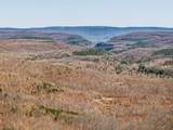 253 Daus Mountain Rd - Photo 3