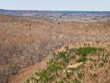253 Daus Mountain Rd - Photo 21