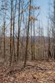 253 Daus Mountain Rd - Photo 24