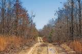 253 Daus Mountain Rd - Photo 30