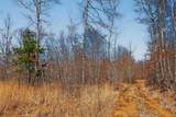 253 Daus Mountain Rd - Photo 42