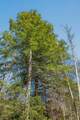 253 Daus Mountain Rd - Photo 47
