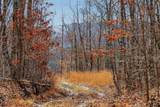 253 Daus Mountain Rd - Photo 52