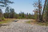 253 Daus Mountain Rd - Photo 53