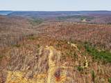253 Daus Mountain Rd - Photo 55
