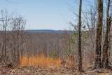 253 Daus Mountain Rd - Photo 56