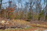 253 Daus Mountain Rd - Photo 57