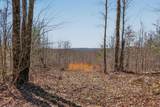 253 Daus Mountain Rd - Photo 58