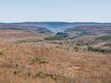 253 Daus Mountain Rd - Photo 59