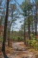 253 Daus Mountain Rd - Photo 61