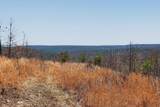 253 Daus Mountain Rd - Photo 62