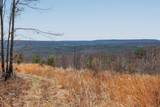 253 Daus Mountain Rd - Photo 65