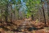 253 Daus Mountain Rd - Photo 66
