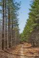 253 Daus Mountain Rd - Photo 69