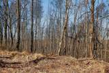 253 Daus Mountain Rd - Photo 8