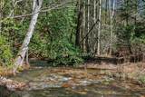 253 Daus Mountain Rd - Photo 72