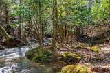 253 Daus Mountain Rd - Photo 10