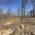 2628 Claylick Rd - Photo 9