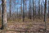 1300 New Sheboss Road - Photo 38