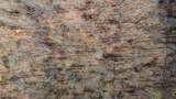 1300 New Sheboss Road - Photo 55