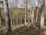 0 Arrowhead - Photo 2