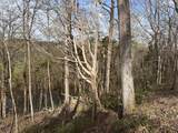 0 Arrowhead - Photo 4