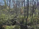 0 Crump Landing Rd - Photo 6