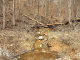 50 Crappie Lane - Photo 24