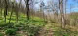 0 Chapman Hollow Rd - Photo 3